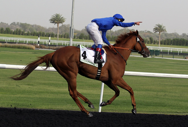 آشنایی با اسب‌های شرکت کننده در کورس جام جهانی 2014 دبی
